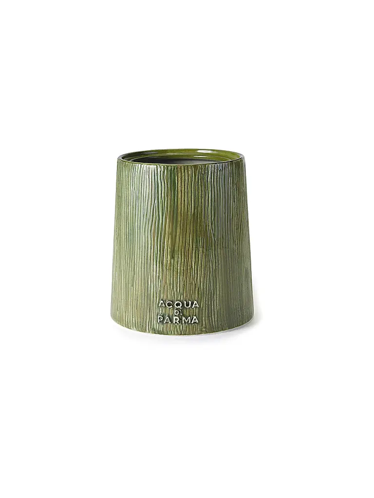 ACQUA DI PARMA | Bougie - Bosco 500g | 