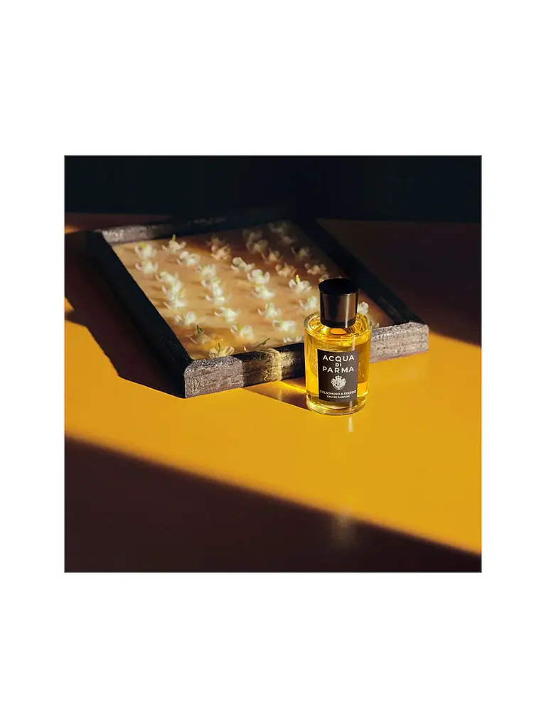 ACQUA DI PARMA | Gelsomino A Freddo Eau de Parfum 50ml | keine Farbe