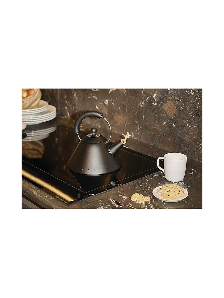 ALESSI | Bouilloire 2l Michael Graves Noir | Noir