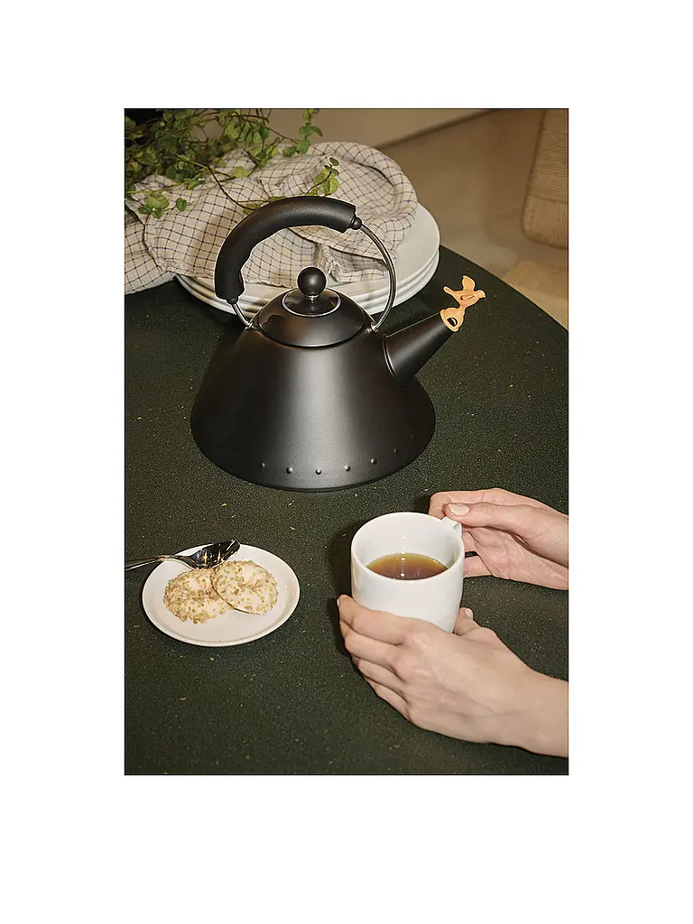 ALESSI | Bouilloire 2l Michael Graves Noir | Noir