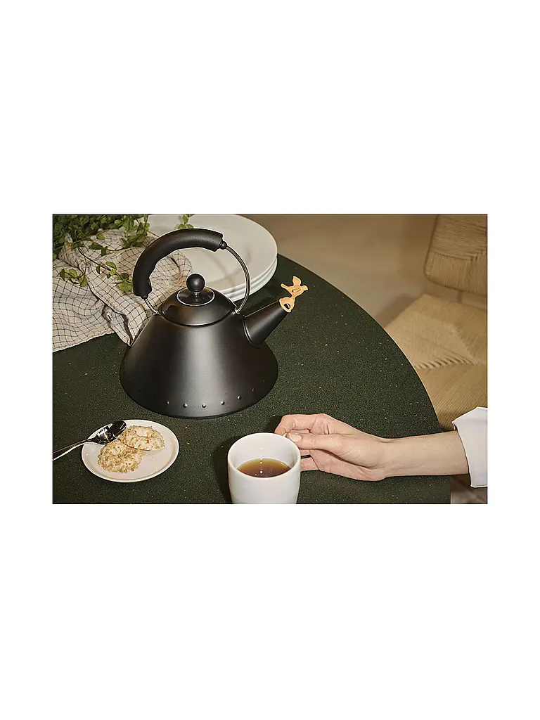 ALESSI | Bouilloire 2l Michael Graves Noir | Noir