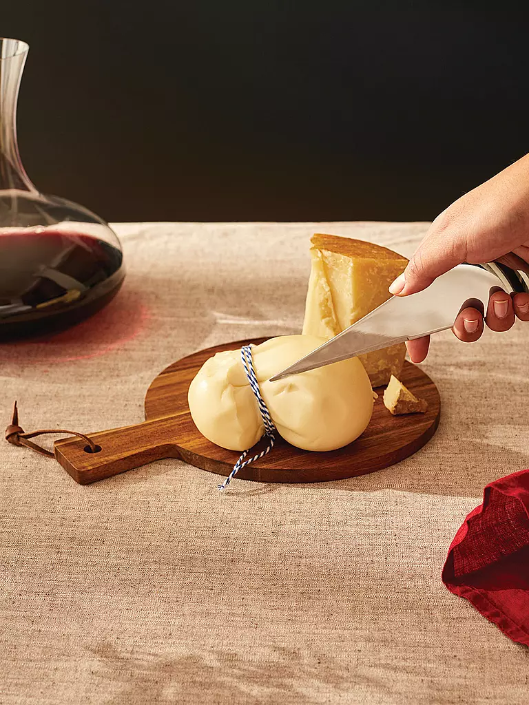 ALESSI | Couteau à fromage "Antechinus" | Argent
