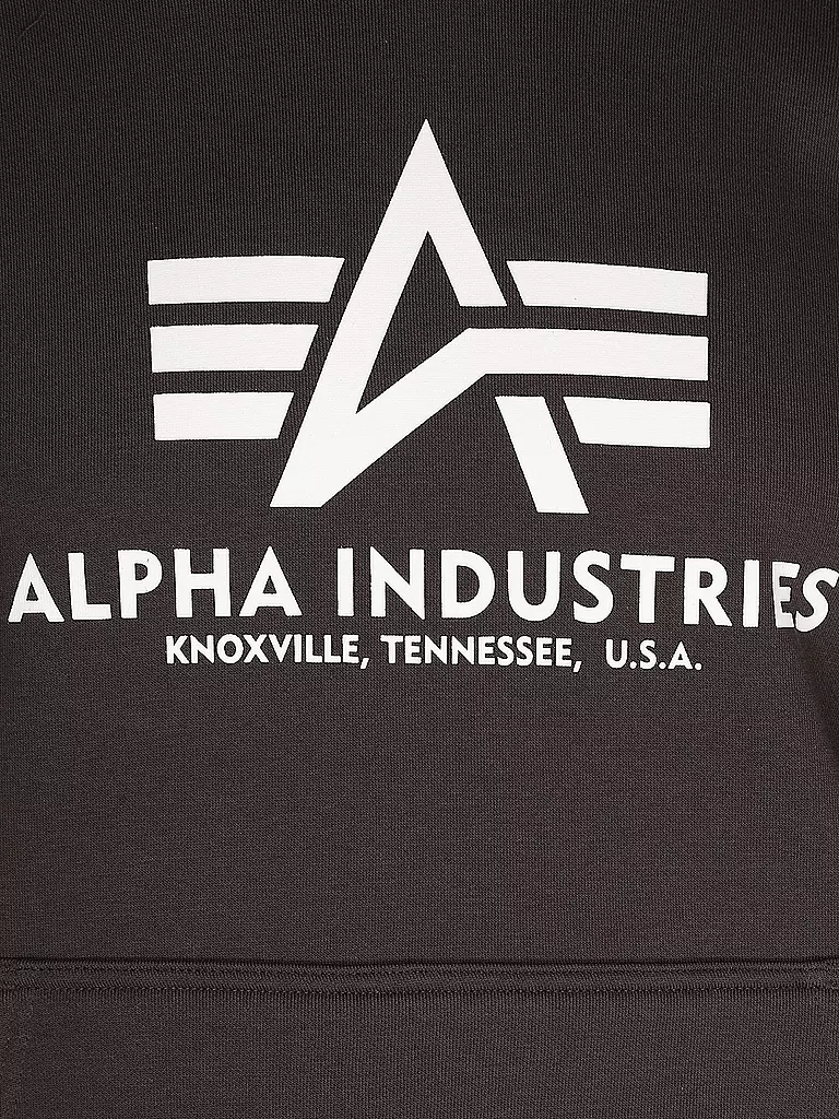 ALPHA INDUSTRIES | Kapuzensweater - Hoodie | Marron