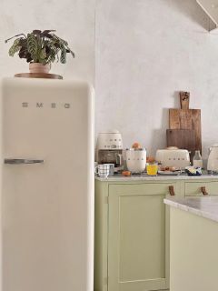 Un réfrigérateur SMEG couleur crème se trouve dans une cuisine lumineuse avec des armoires vert clair, une plante en pot sur le dessus et divers petits appareils de cuisine et articles de petit-déjeuner sur le comptoir.