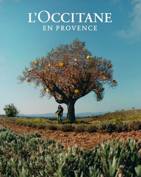 Un groupe de personnes se tient ensemble dans un champ de lavande, se tenant la main sous un ciel clair. Ils sourient à la caméra, entourés de fleurs violettes éclatantes. En bas, on peut voir le nom de la marque « L'OCCITANE EN PROVENCE ».