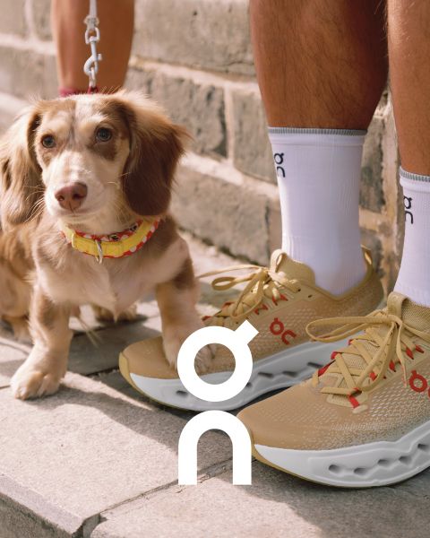 Deux baskets de la marque « On » sont présentées sur une branche texturée devant un ciel de coucher de soleil coloré. Une chaussure est noire avec des accents gris et l'autre est blanche avec des détails plus foncés. En dessous, le logo « On » est visible.