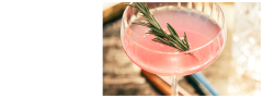 Un cocktail rose, garni d'une branche de romarin dans un verre coupe, dans lequel se reflète la lumière du soleil.