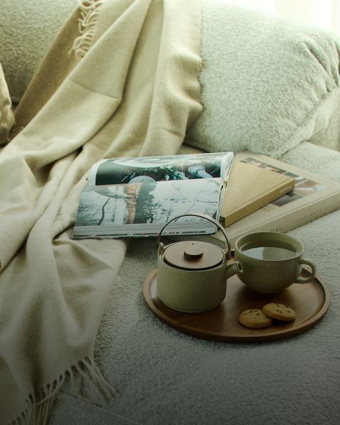 Un cadre confortable avec une douce couverture beige, un magazine ouvert et plusieurs livres sur un canapé. Un plateau en bois présente une théière, une tasse de thé et deux biscuits, créant une atmosphère chaleureuse et accueillante.
