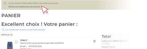 Une capture d'écran d'une page de panier avec un message de succès : "Le bon d'achat 'KODES-WELCOME' a été utilisé avec succès." Un curseur rouge pointe vers un lien intitulé "Afficher les conditions du bon d'achat".