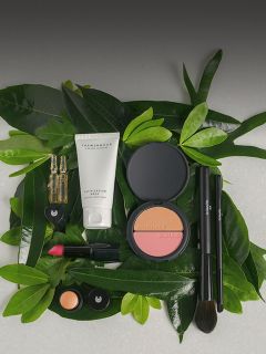 Divers produits de maquillage, pinceaux et articles de soin de la peau disposés sur des feuilles vertes devant un fond gris.