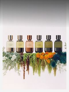 Six flacons de parfum de différentes couleurs sont alignés sur du feuillage vert et des fleurs jaune vif, orange et bleues sur un fond blanc.