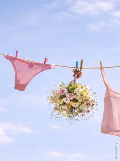 De la lingerie rose et un bouquet de fleurs sauvages sont suspendus à une corde à linge avec des pinces à linge devant un ciel bleu.