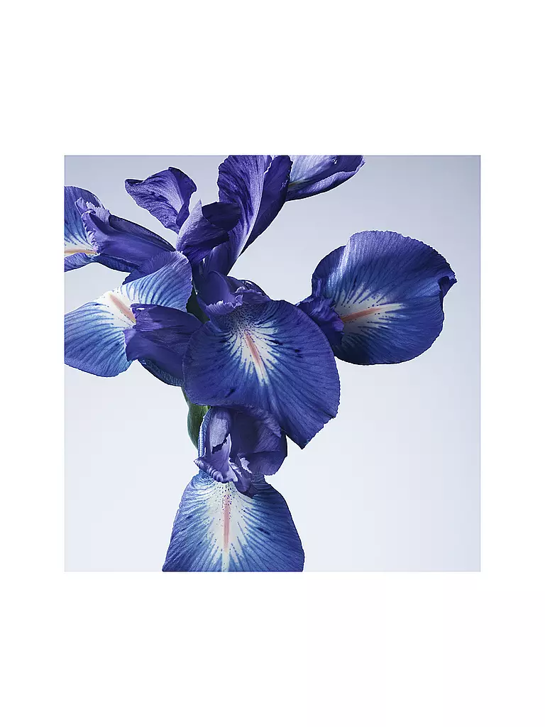 ARMANI/PRIVÉ | Iris Bleu Eau de Toilette 100ml | keine Farbe