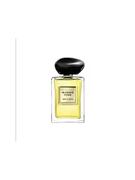 ARMANI/PRIVÉ | Orangerie Venise Eau de Toilette 100ml | Aucune couleur