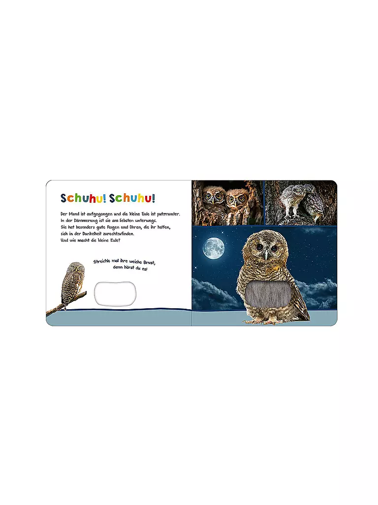 ARS EDITION VERLAG | Buch - Hör mal rein, wer kann das sein? – Tiere in der Nacht  | Aucune couleur