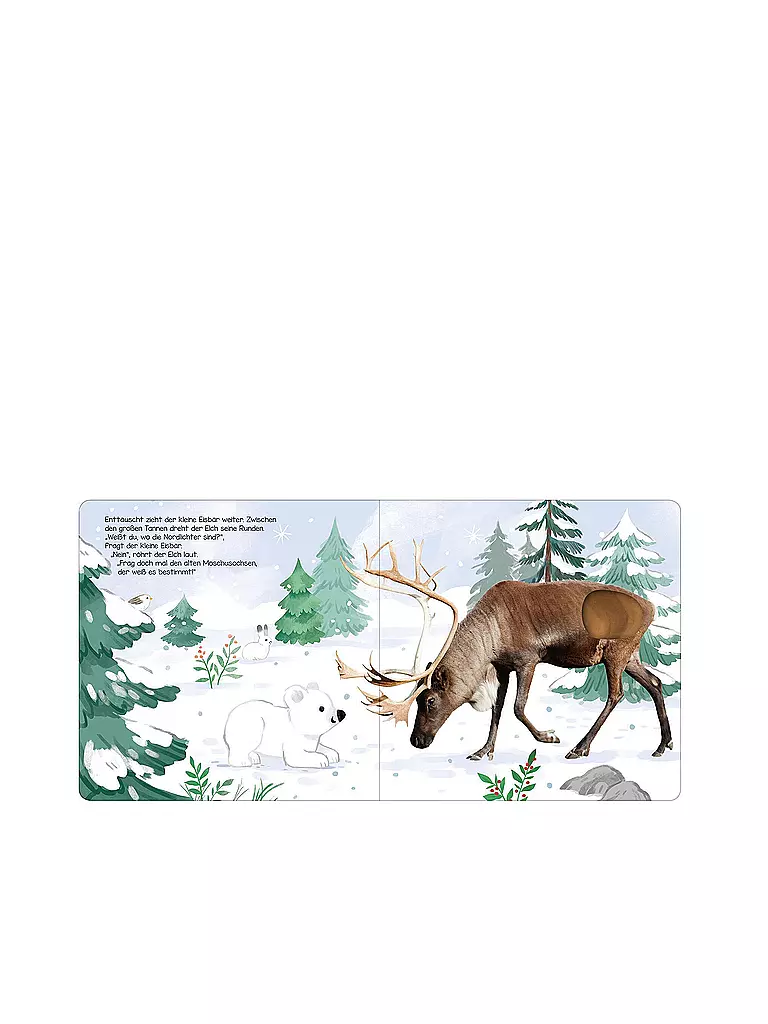 ARS EDITION VERLAG | Livre - Écoute, petit ours polaire ! | Aucune couleur