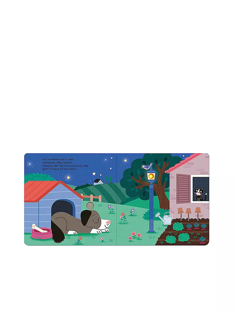 ARS EDITION VERLAG | Livre - Mon livre sonore clignotant - Bonne nuit, la ferme ! | Aucune couleur