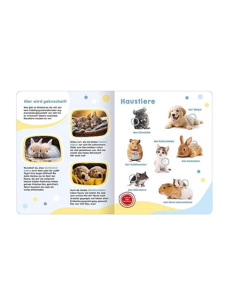 ARS EDITION VERLAG | Mon grand livre sonore - Bébés animaux | Aucune couleur
