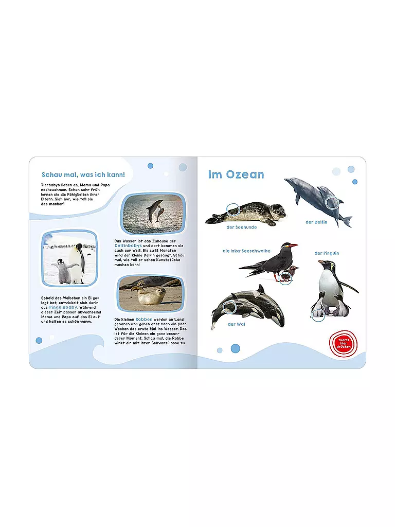 ARS EDITION VERLAG | Mon grand livre sonore - Bébés animaux | 
