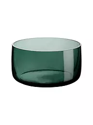 ASA SELECTION | Coupe en verre AJANA grand 21,5cm Grey | Vert foncé