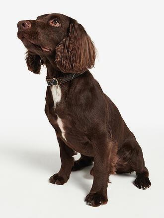 BARBOUR | Collier pour chien Tartan