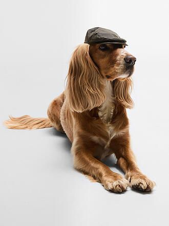 BARBOUR | Casquette pour chien
