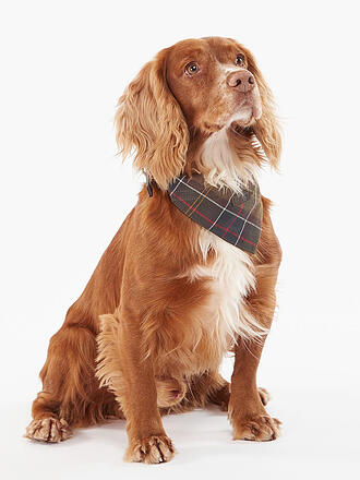 BARBOUR | Bandana pour chien