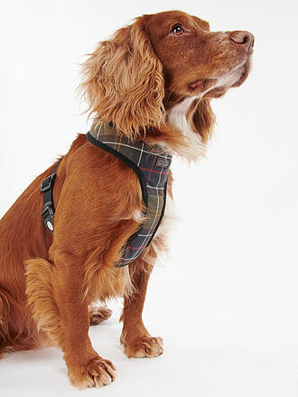 BARBOUR | Harnais pour chien