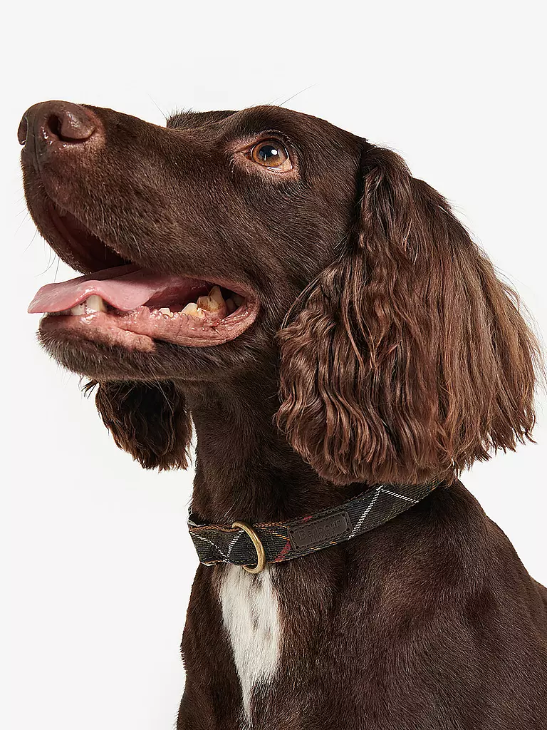 BARBOUR | Collier pour chien Tartan | 