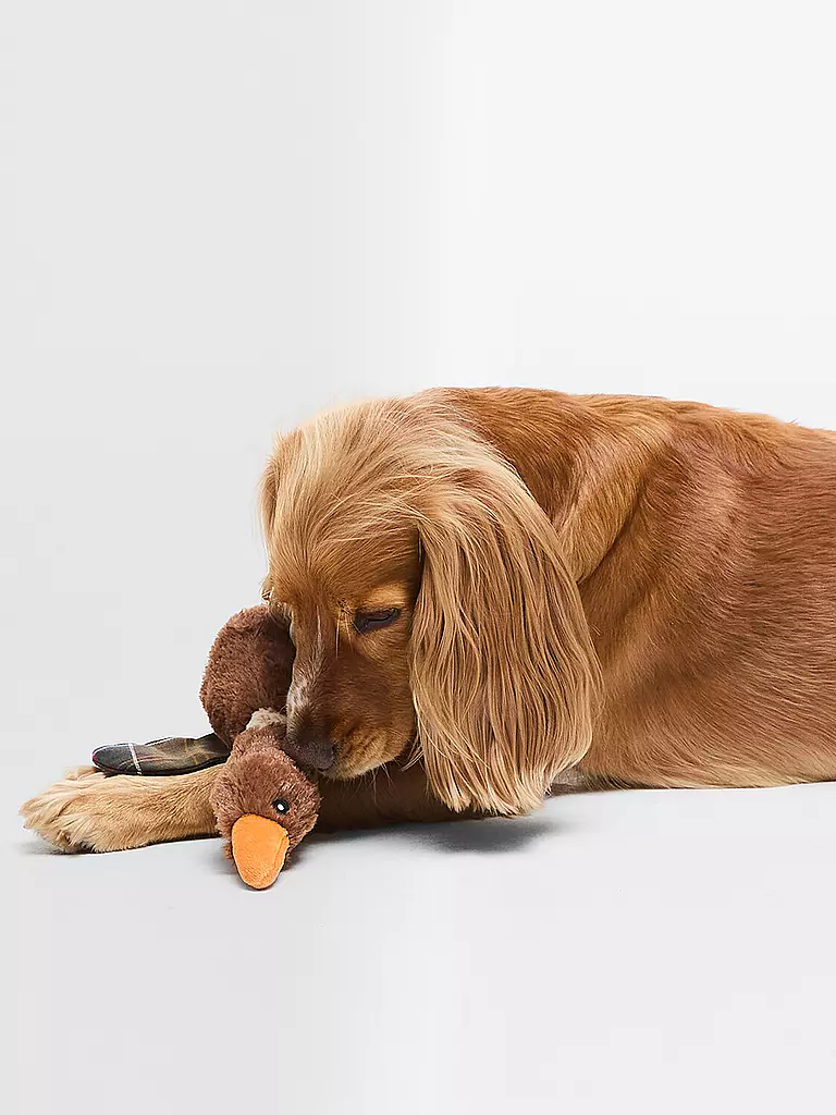 BARBOUR | Jouet pour chien FLYING DUCK | Marron