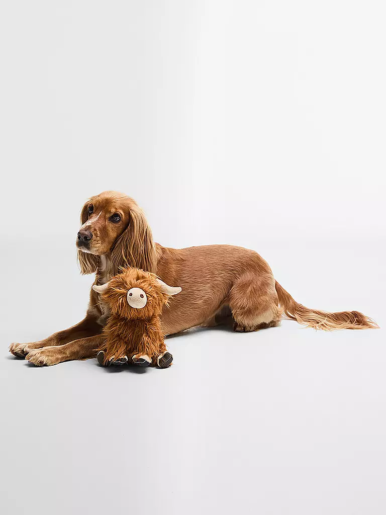 BARBOUR | Jouet pour chien Vache Highland | Marron