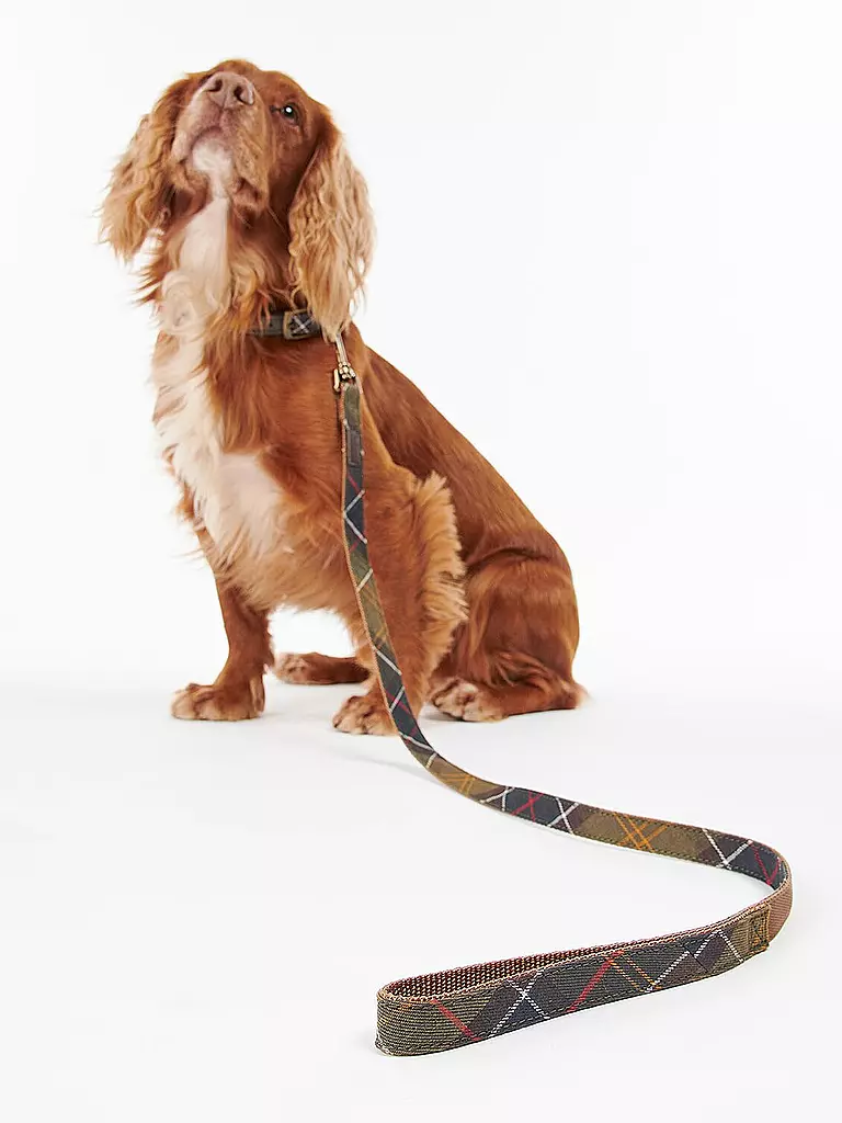 BARBOUR | Laisse pour chien Tartan | olive