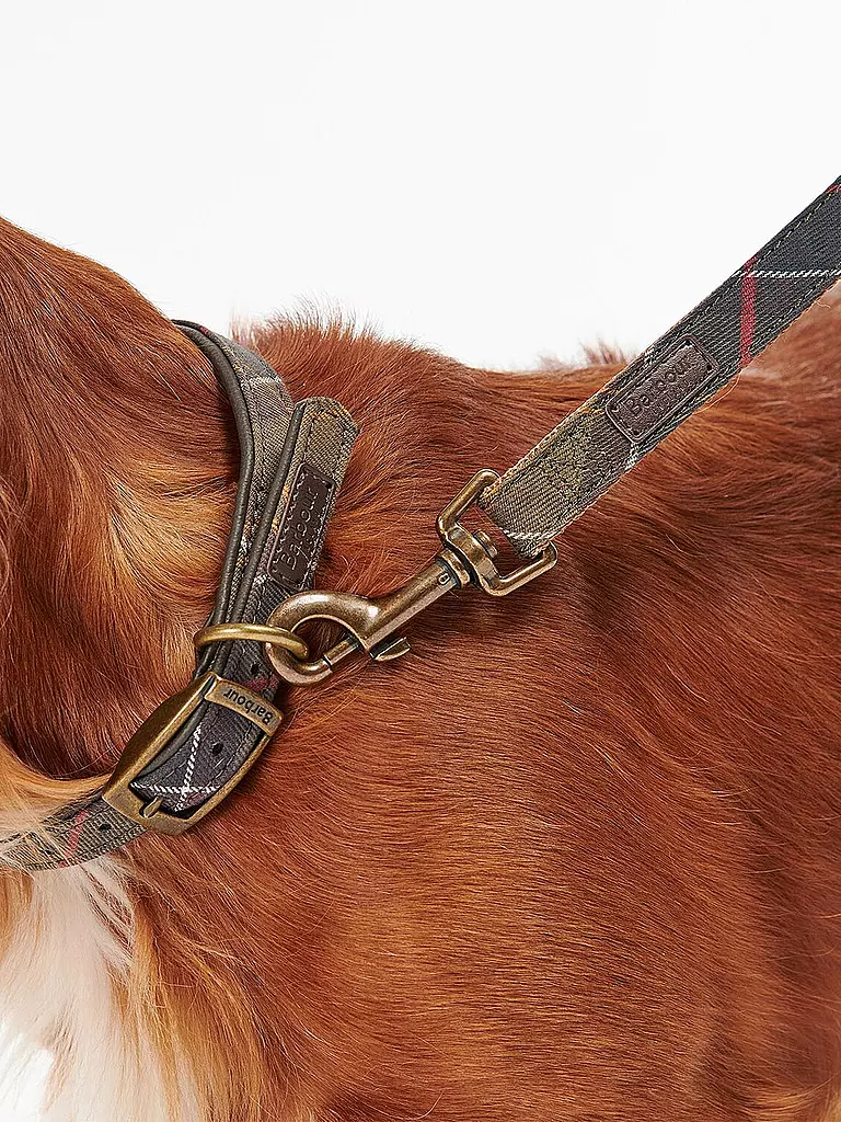 BARBOUR | Laisse pour chien Tartan | 