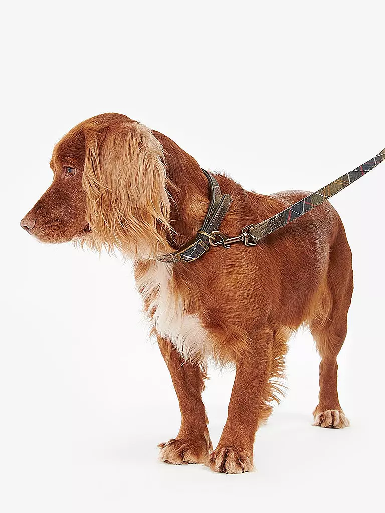 BARBOUR | Laisse pour chien Tartan | 