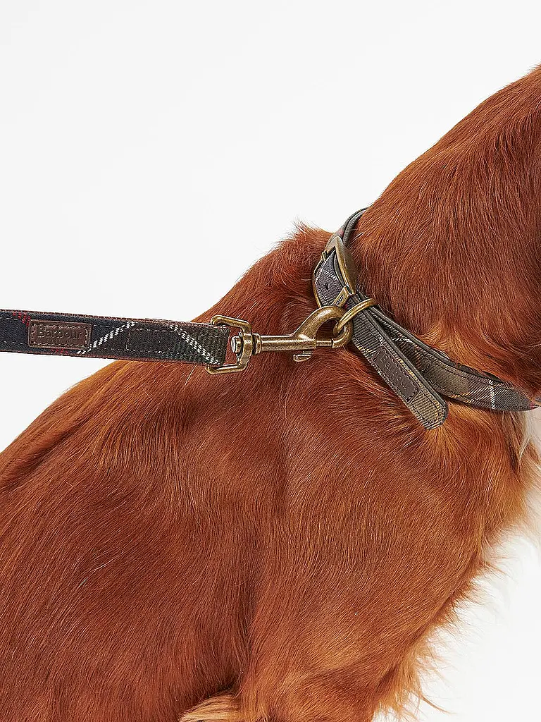 BARBOUR | Laisse pour chien | 