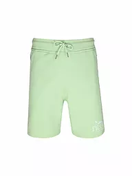 BARON FILOU | Shorts  | Vert clair