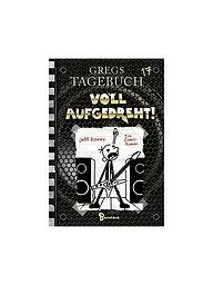 BAUMHAUS VERLAG | Journal de Greg 17 - À fond la caisse ! | Aucune couleur
