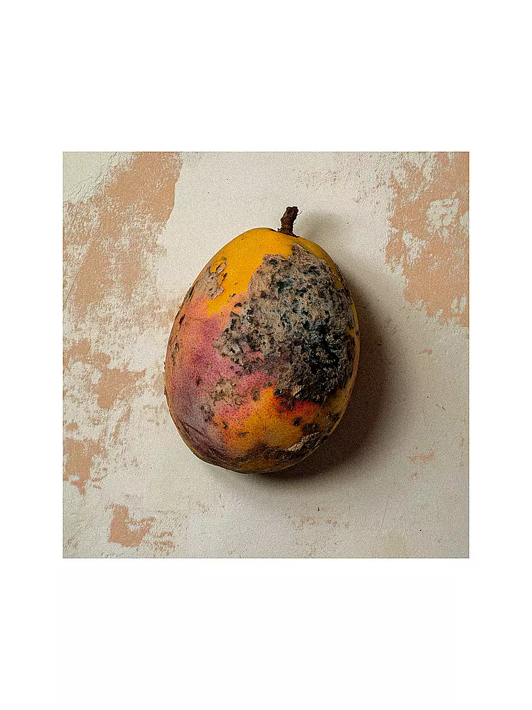 BORNTOSTANDOUT | Black Mango Extrait de Parfum 50ml | 