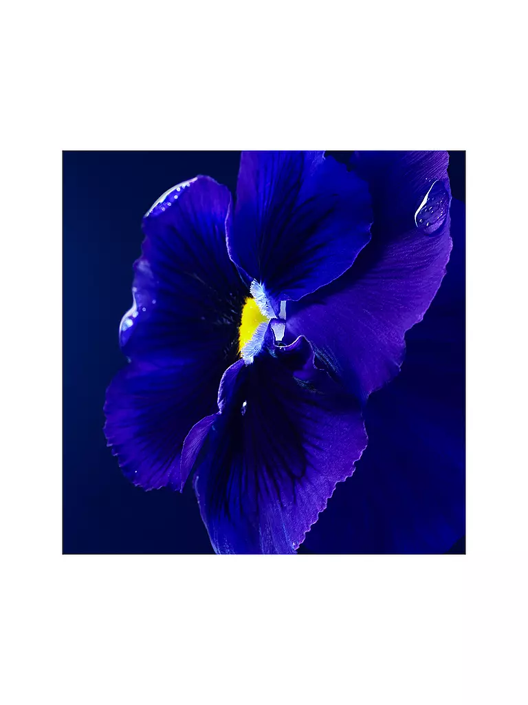 BOSS | Triumph Elixir 100ml | 