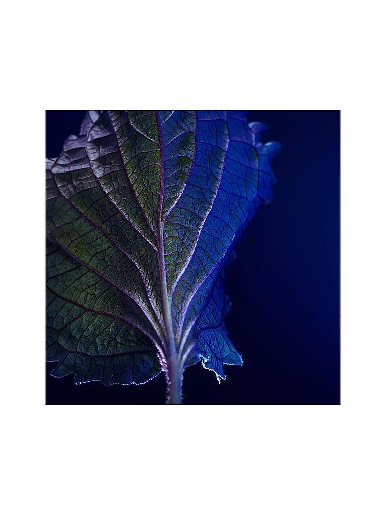 BOSS | Triumph Elixir 100ml | 