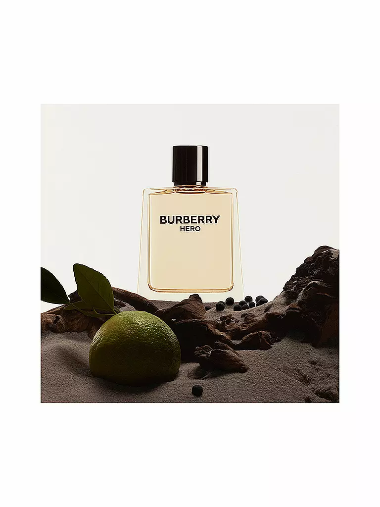 BURBERRY | Hero Eau de Toilette 100ml | 