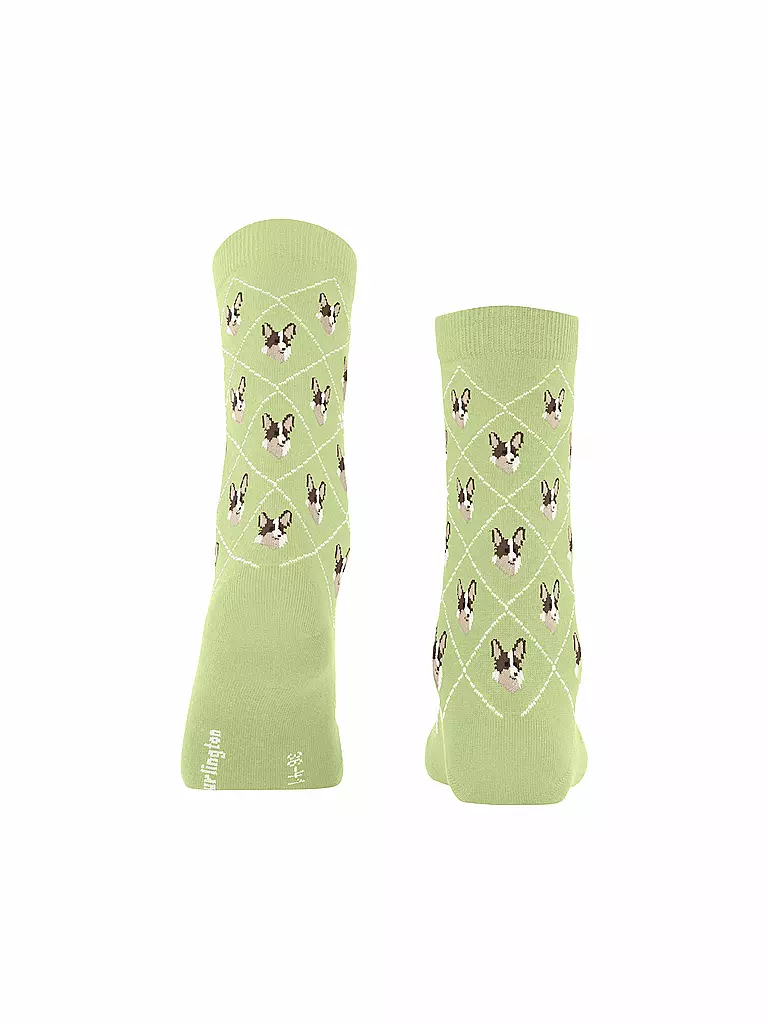 BURLINGTON | Socken Gr 36-41 lemon | Vert clair