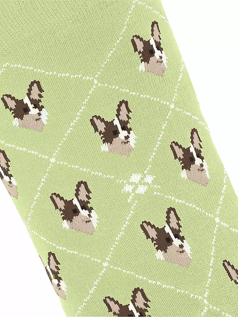 BURLINGTON | Socken Gr 36-41 lemon | Vert clair