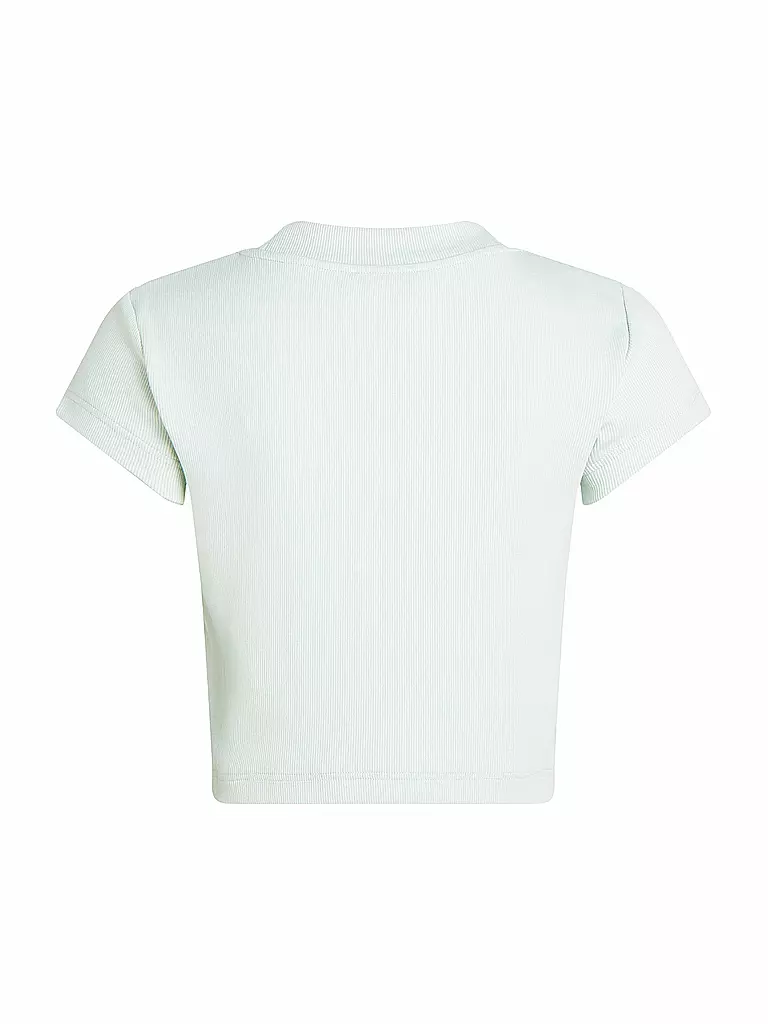CALVIN KLEIN JEANS | T-shirt Coupe Courte | 