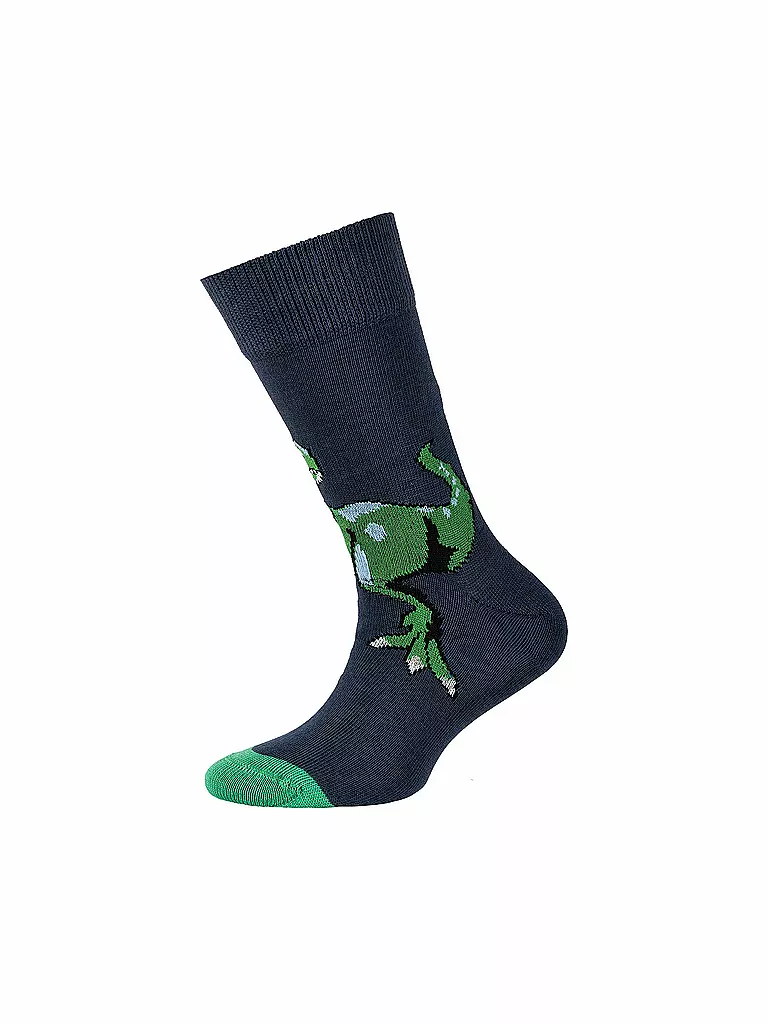 CAMANO | Chaussettes garçon lot de 2 Blue | 