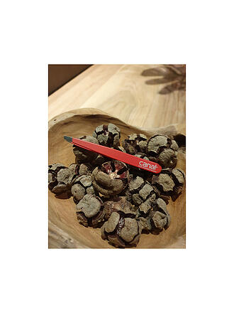 CANAL | Pince à épiler inoxydable/biseautée 95mm (Rouge) 2011