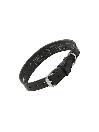 CARHARTT WIP | Collier pour chien SCRIPT STUDS