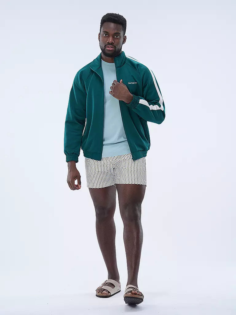 CARHARTT WIP | Sweatjacke  | Vert foncé