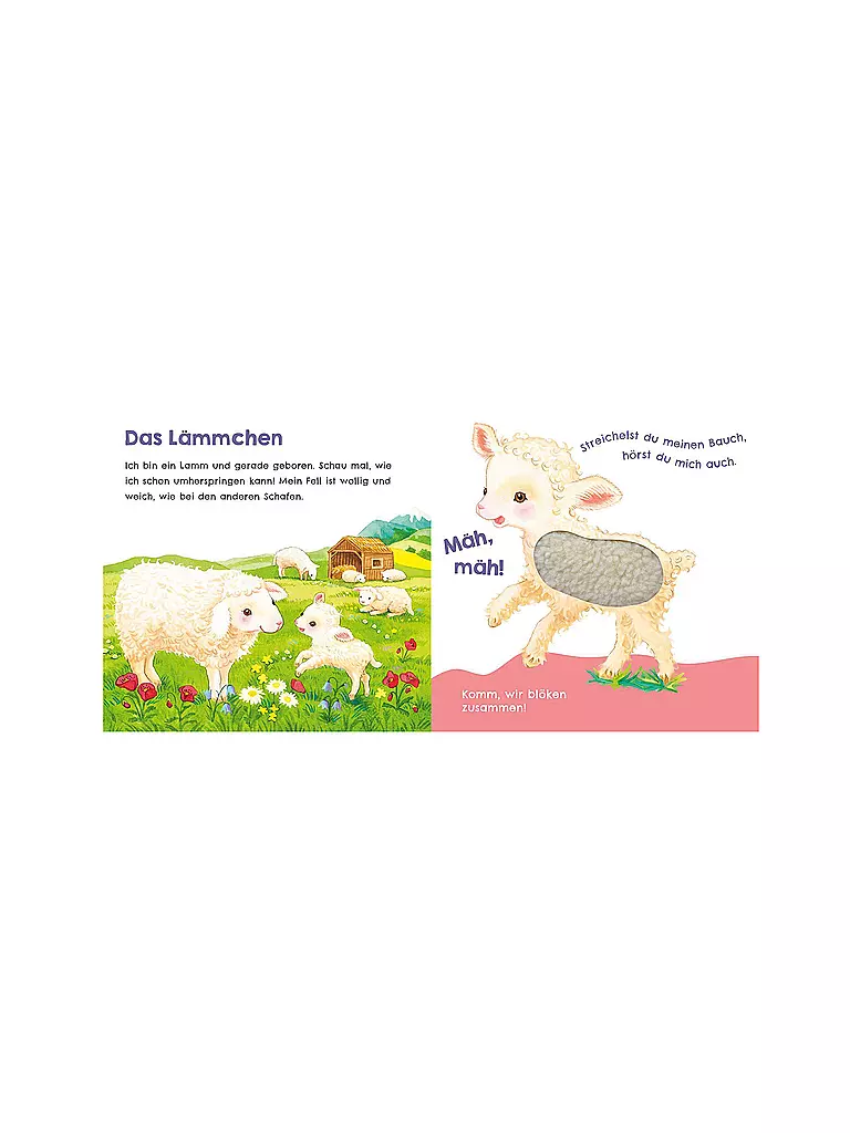 CARLSEN VERLAG | Écoute comme je peux caqueter (Mon premier livre sonore à caresser 1) | Aucune couleur