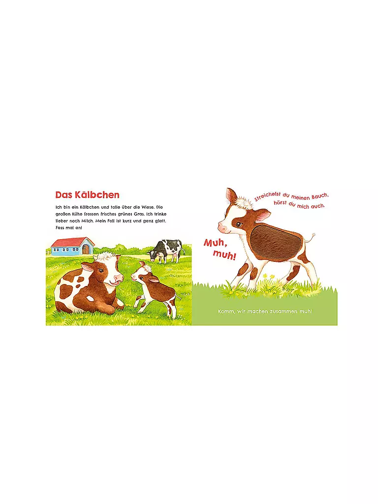 CARLSEN VERLAG | Écoute comme je peux caqueter (Mon premier livre sonore à caresser 1) | Aucune couleur